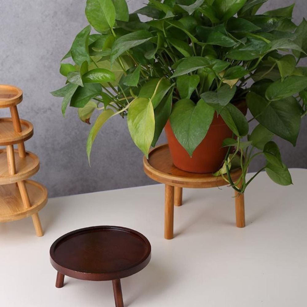Bonsai Garden Stand - حامل زهور إبداعي متين للنباتات العصارية،