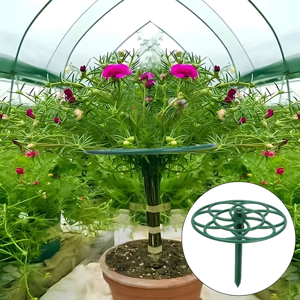 Bonsai Garden Stand - إطار تسلق البونساي من البلاستيك متعدد