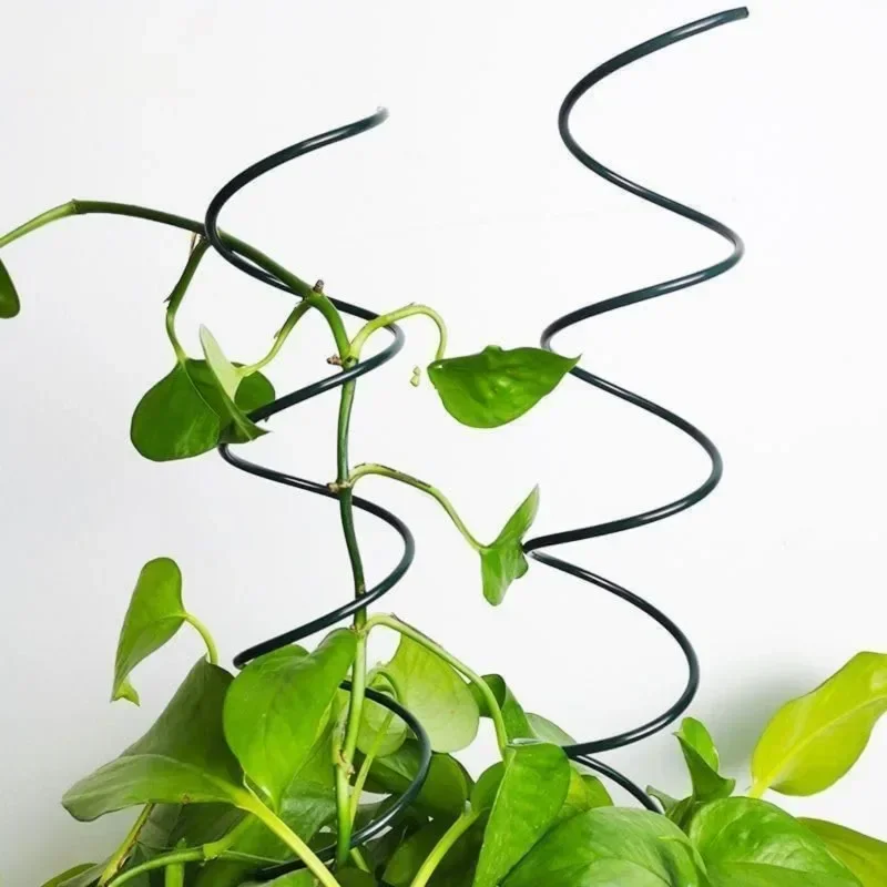 دعامة نباتات متسلقة، حامل نبات - مراجعة Bonsai Garden Stand وسعره