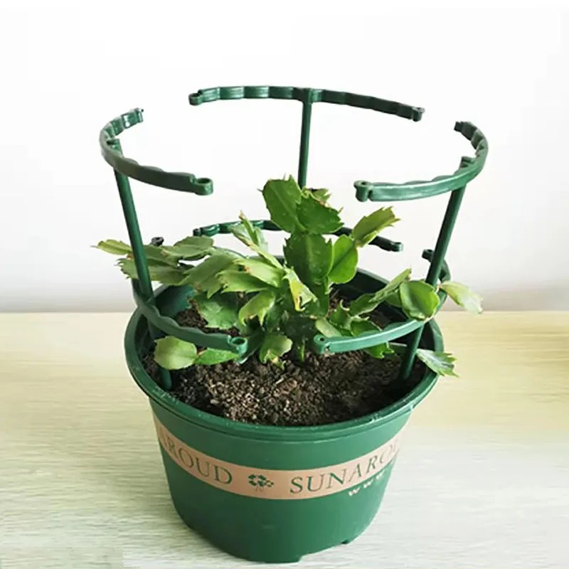 4 قطع من حوامل النباتات البلاس - مراجعة Bonsai Garden Stand وسعره
