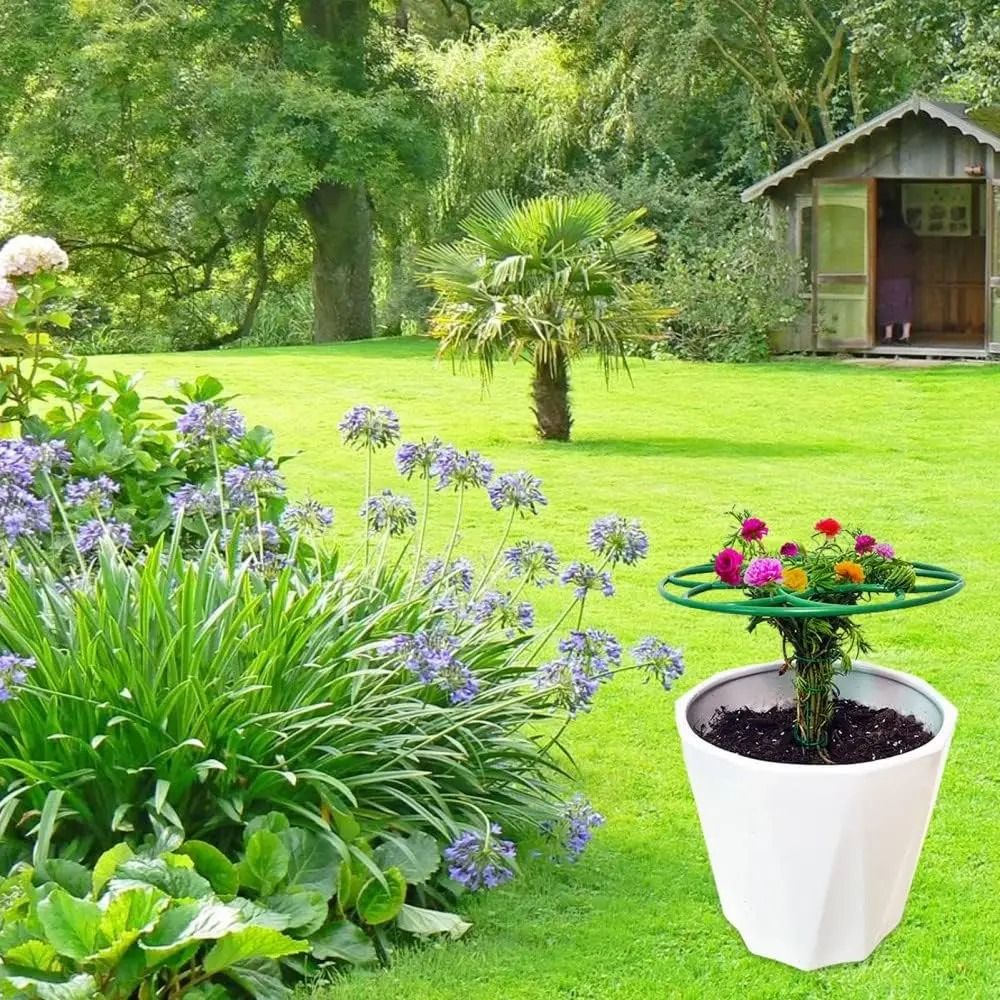 إطار تسلق جديد للنباتات الصغير - مراجعة Bonsai Garden Stand وسعره