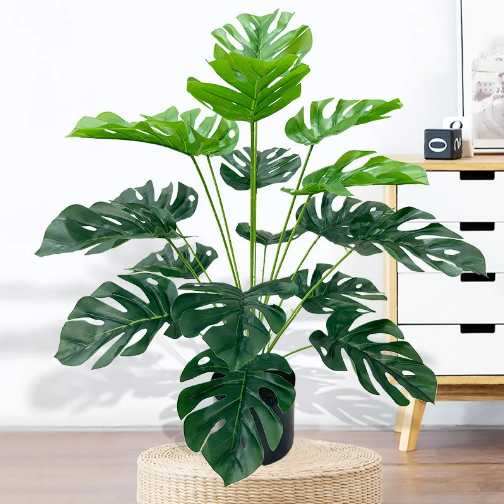 نبات صناعي واقعي على شكل سلحفا - مراجعة Bonsai Garden Desk وسعره