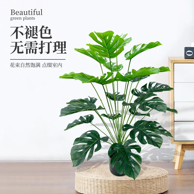 نبات صناعي واقعي على شكل سلحفا - مراجعة Bonsai Garden Desk وسعره