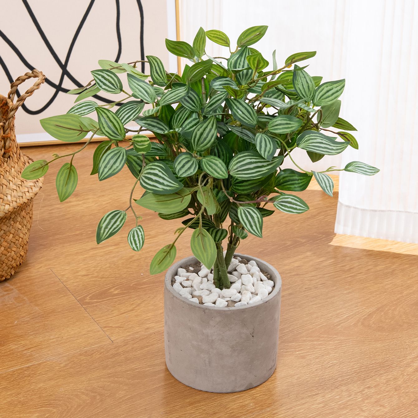 نبات بونساي اصطناعي أخضر للديك - مراجعة Bonsai Garden House وسعره
