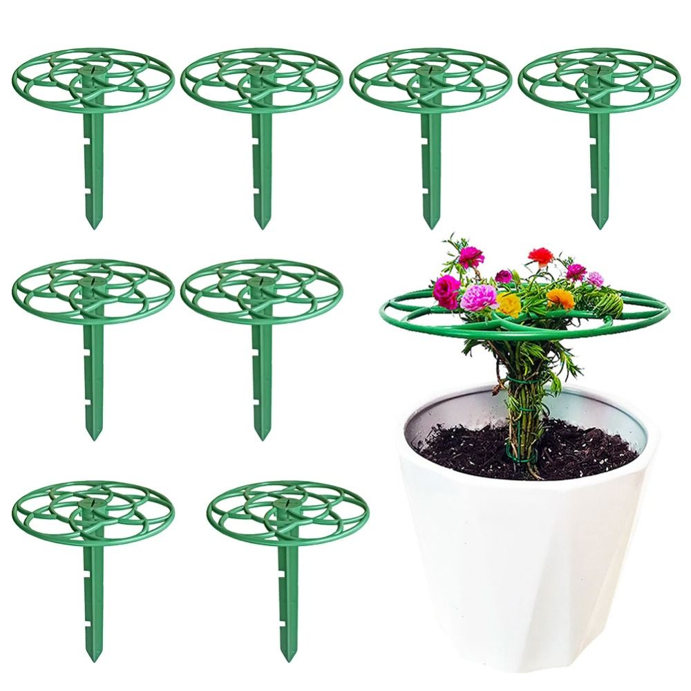 إطار تسلق للنباتات البونساي بم - مراجعة Bonsai Garden Stand وسعره
