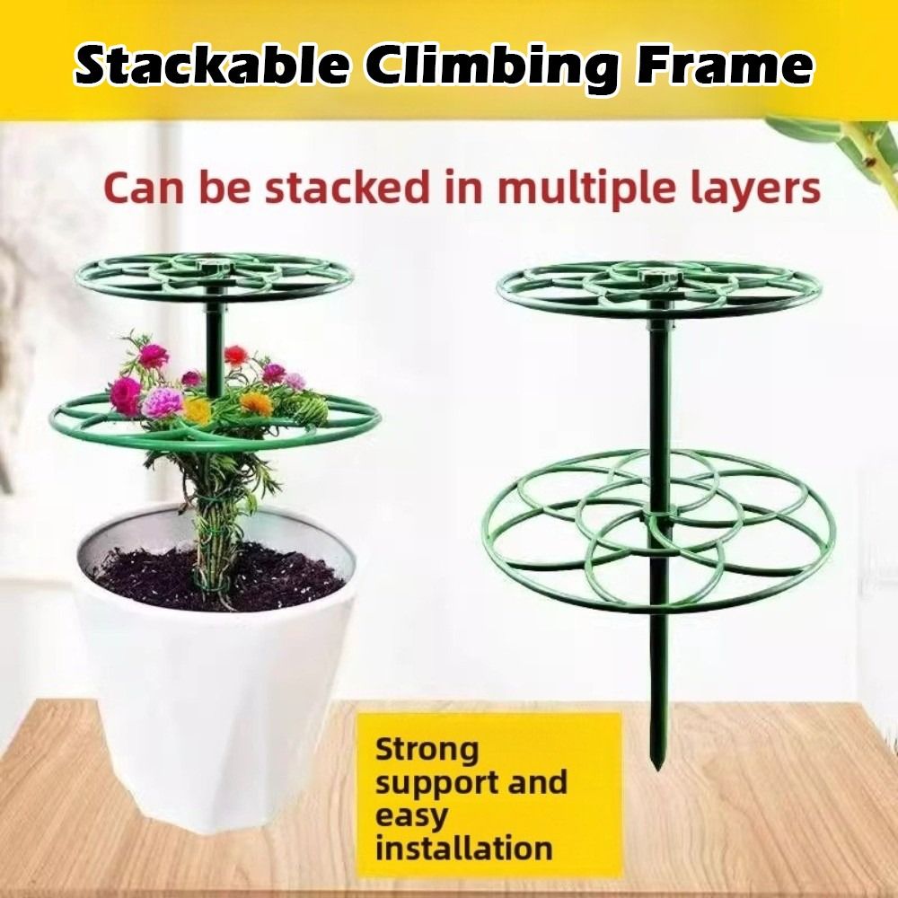 إطار تسلق للنباتات البونساي بم - مراجعة Bonsai Garden Stand وسعره