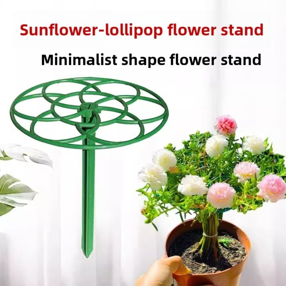 إطار تسلق للنباتات البونساي بم - مراجعة Bonsai Garden Stand وسعره