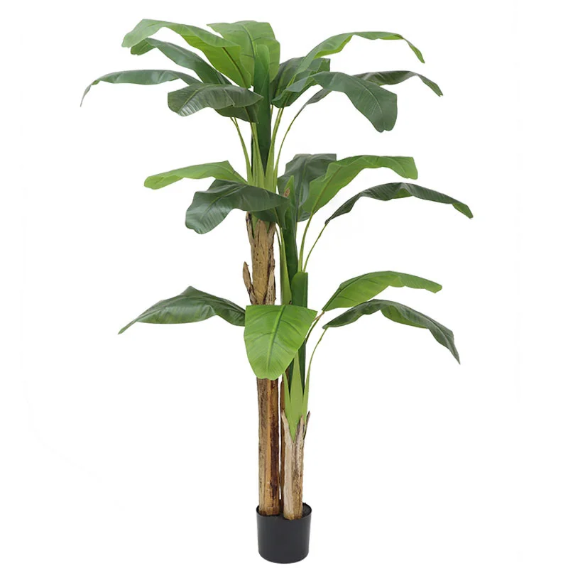 شجرة موز كبيرة اصطناعية بطول 1 - مراجعة Bonsai Garden Restaurant وسعره