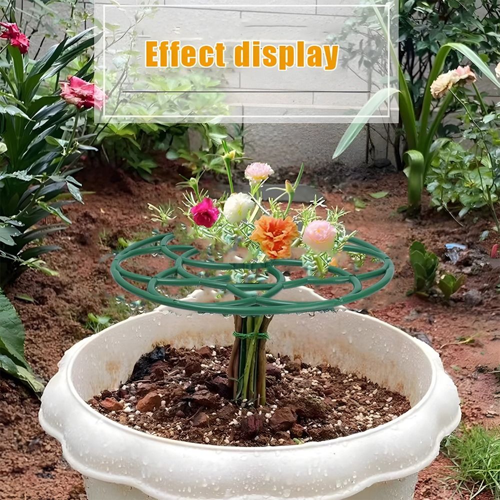 S/M/L البلاستيك حديقة تكويم بو - مراجعة Bonsai Garden Stand وسعره