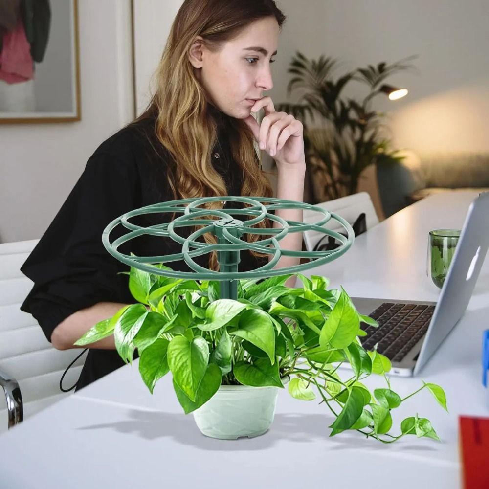 إطار تسلق متين للنباتات الصغير - مراجعة Bonsai Garden Stand وسعره