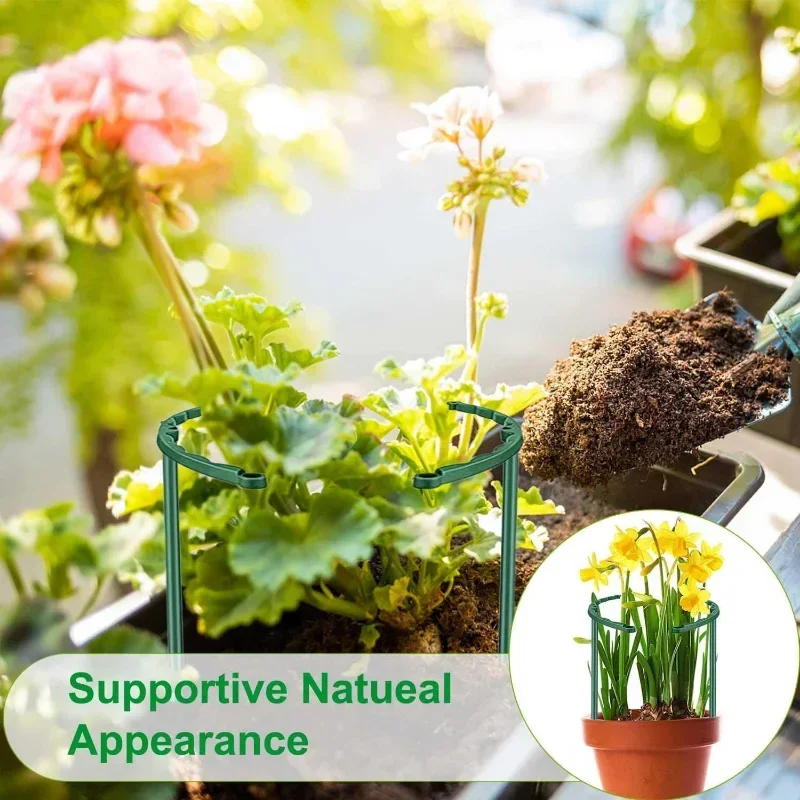 دعامة نباتات الحديقة، حامل زهو - مراجعة Bonsai Garden House وسعره