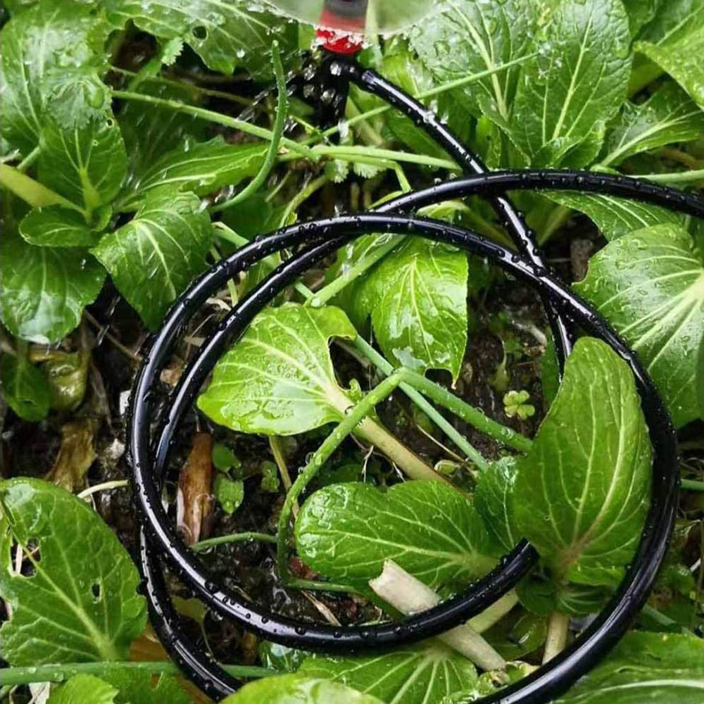 خرطوم ري الحدائق، أنابيب الري  - مراجعة Bonsai Garden Youtube وسعره