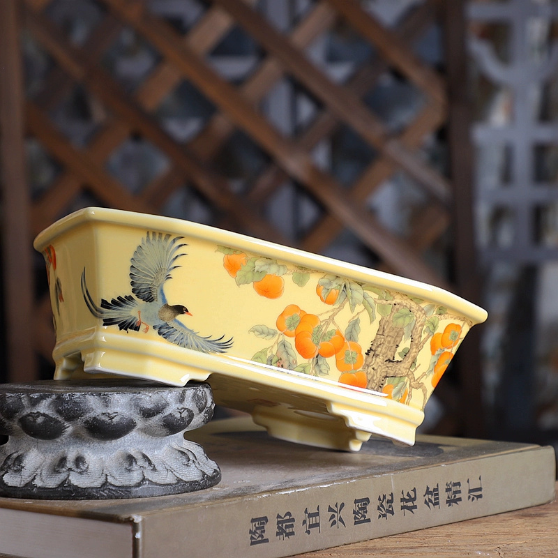 وعاء بونساي مستطيل من البورسلي - مراجعة Bonsai Garden Desk وسعره