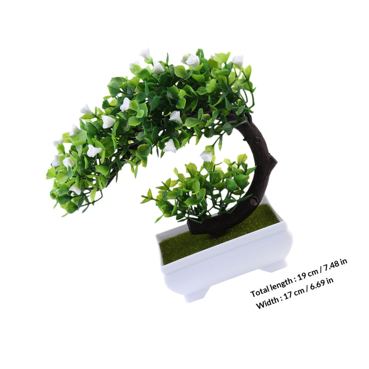 قطعتان من نباتات البونساي الاص - مراجعة Bonsai Garden Restaurant وسعره