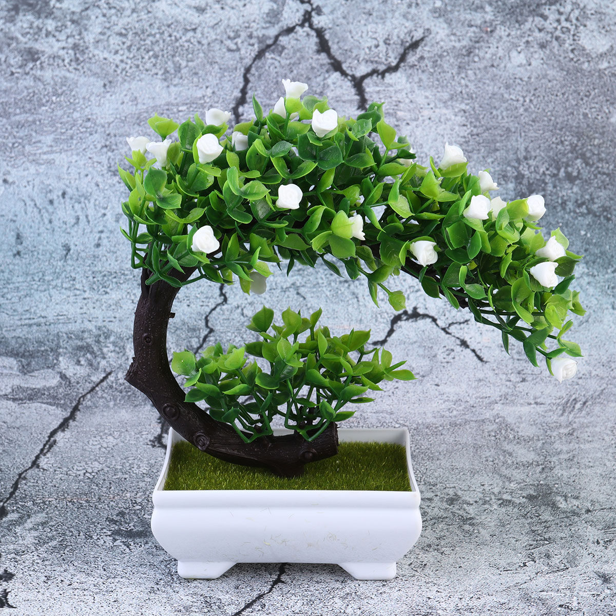 قطعتان من نباتات البونساي الاص - مراجعة Bonsai Garden Restaurant وسعره