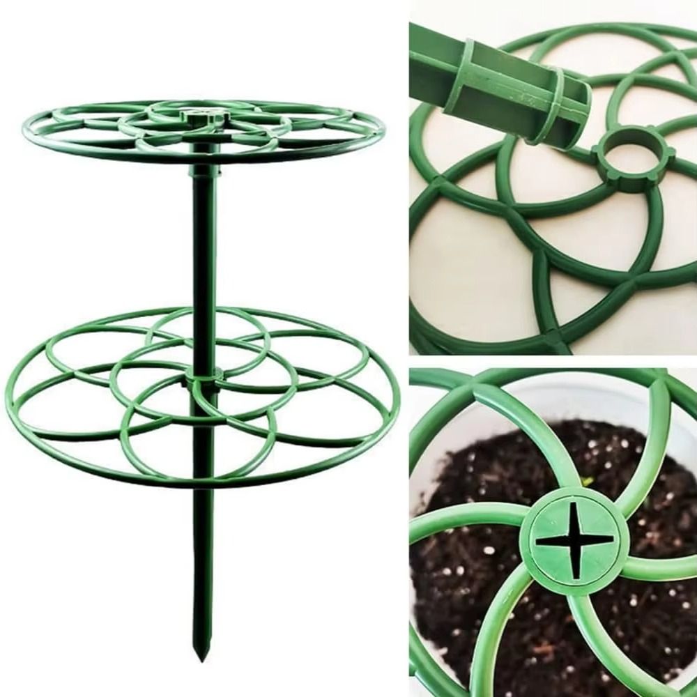 إطار تسلق البونساي من البلاستي - مراجعة Bonsai Garden Stand وسعره