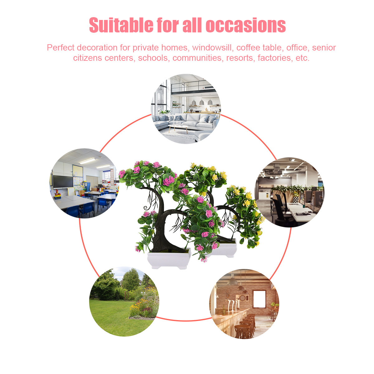 قطعتان من نباتات البونساي البل - مراجعة Bonsai Garden Restaurant وسعره
