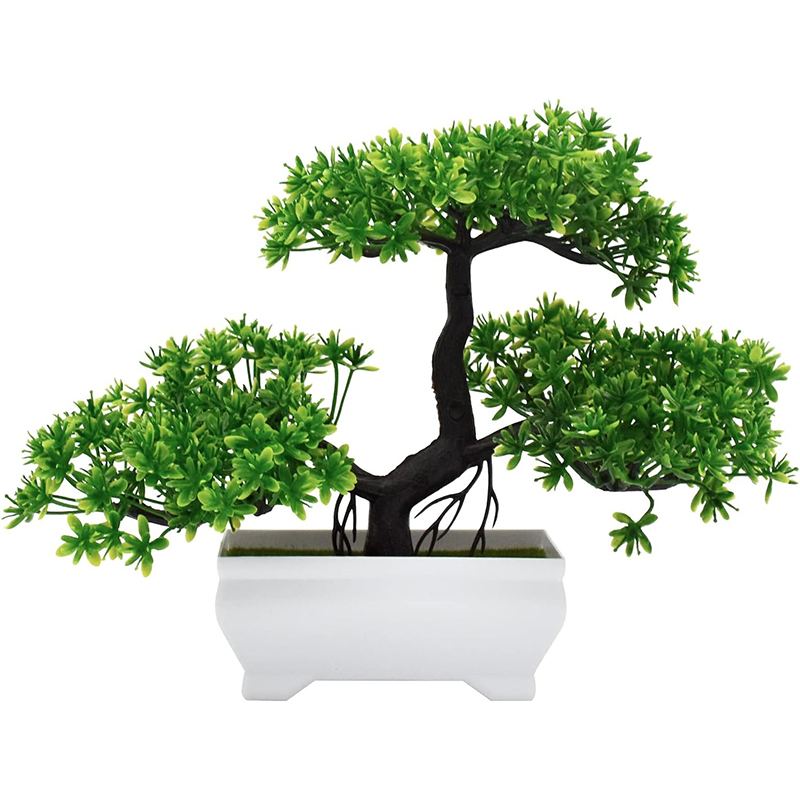 نبات صناعي بيونيك من البلاستيك - مراجعة Bonsai Garden Desk وسعره