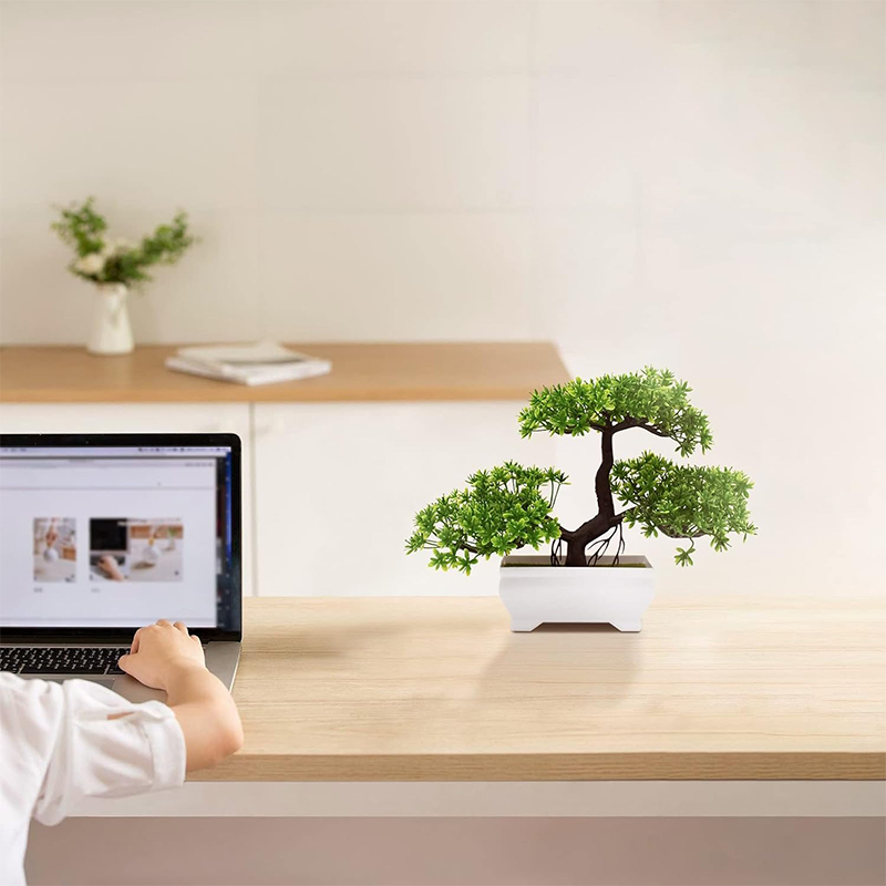 نبات صناعي بيونيك من البلاستيك - مراجعة Bonsai Garden Desk وسعره