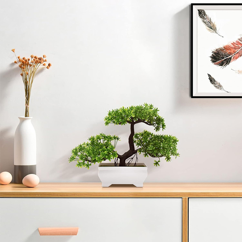 نبات صناعي بيونيك من البلاستيك - مراجعة Bonsai Garden Desk وسعره