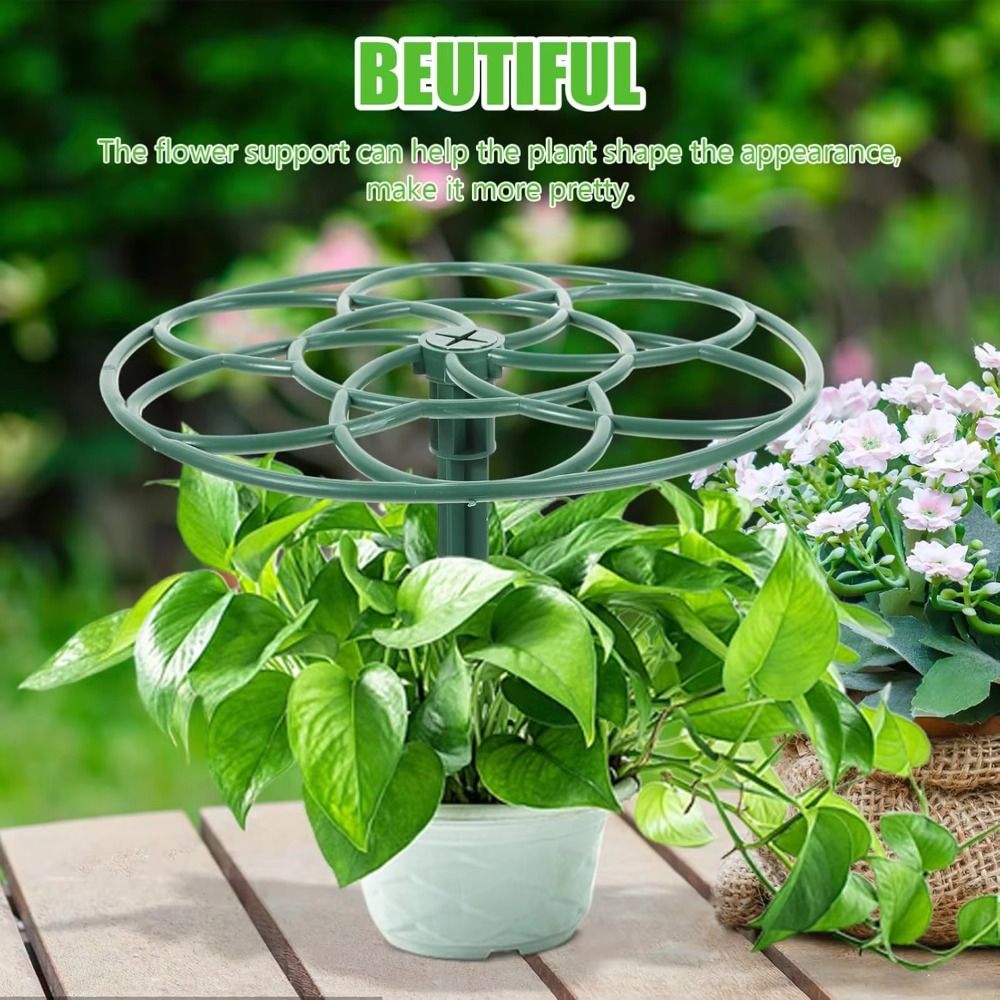 إطار تسلق جديد للنباتات البونس - مراجعة Bonsai Garden Stand وسعره
