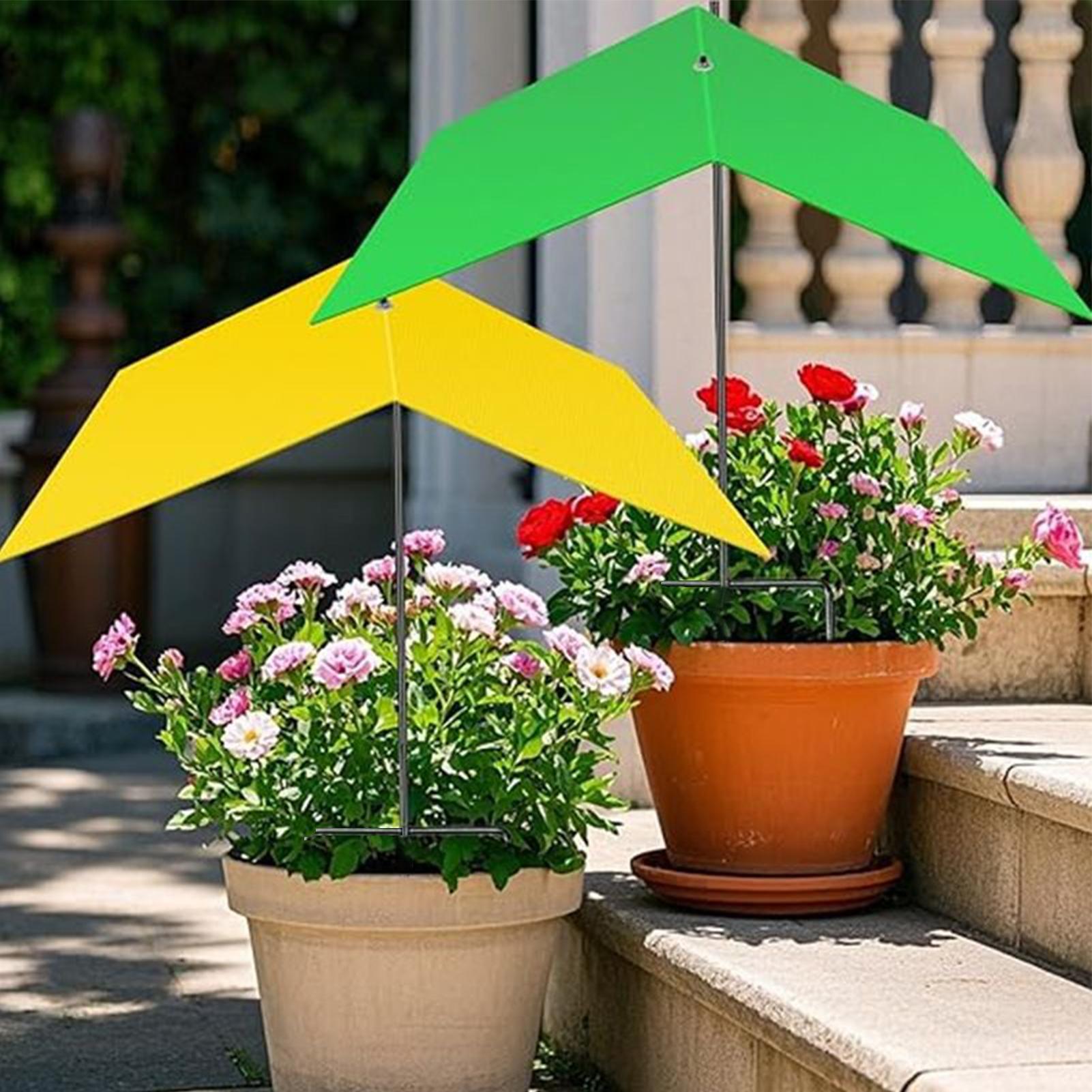 مظلات للنباتات الخارجية مقاومة - مراجعة Bonsai Garden Backyard وسعره