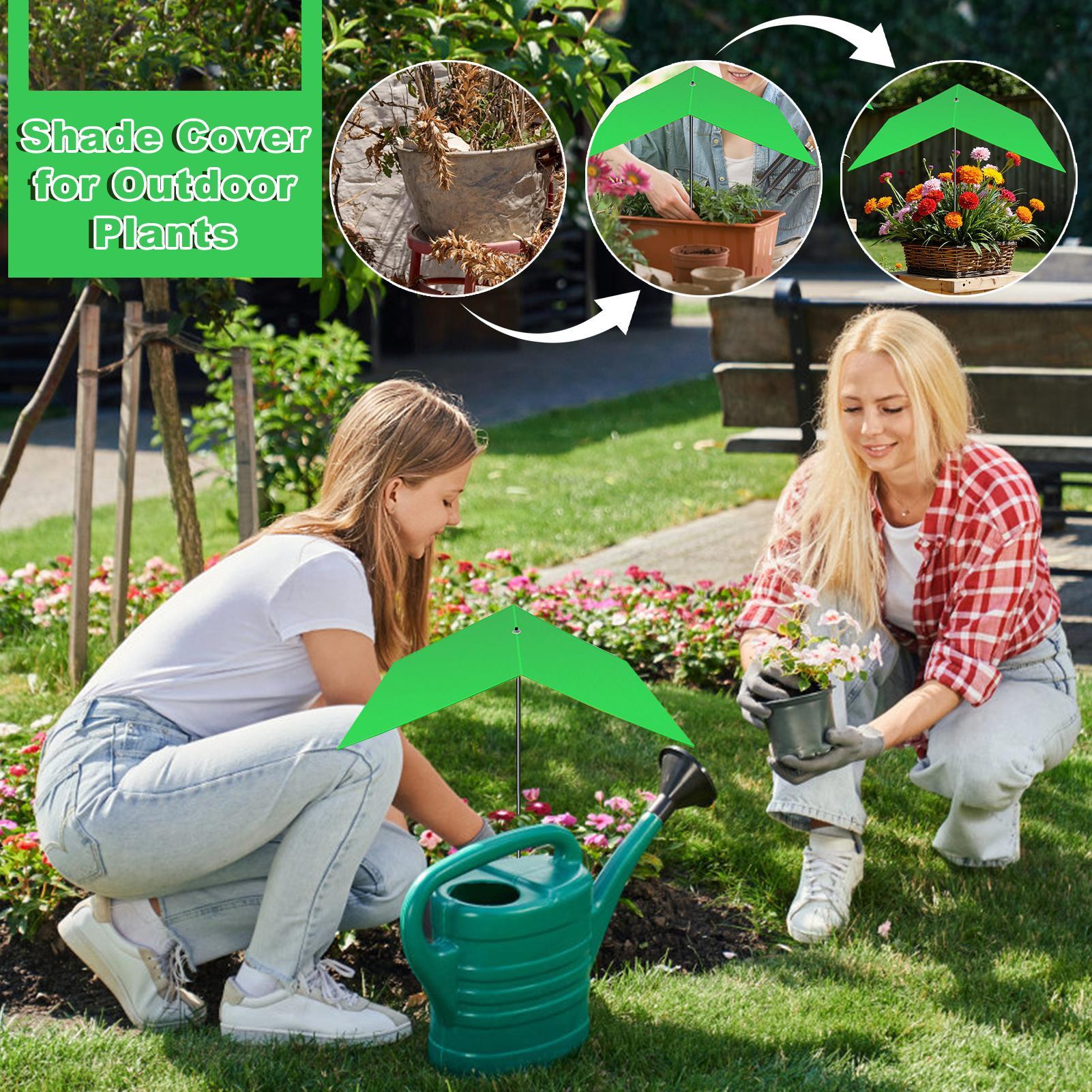 مظلات للنباتات الخارجية مقاومة - مراجعة Bonsai Garden Backyard وسعره