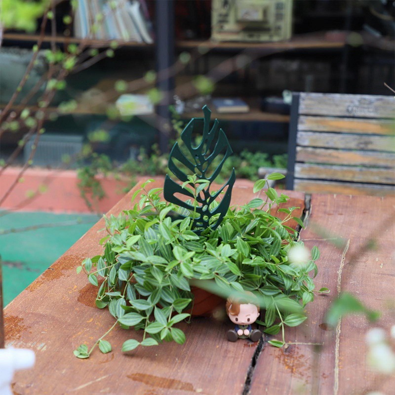 تسلق النبات حامل داعم زهرة تعر - مراجعة Bonsai Garden Stand وسعره